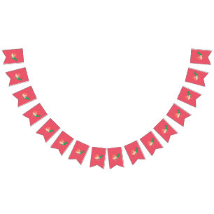 Banderines illusima Cotton Candy Mermaid