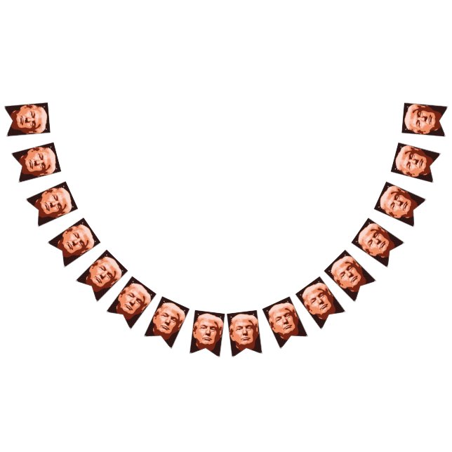 Banderines Inauguración de Trump 2017 (Todo)