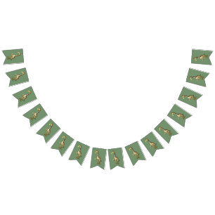 Banderines Jirafa brillante