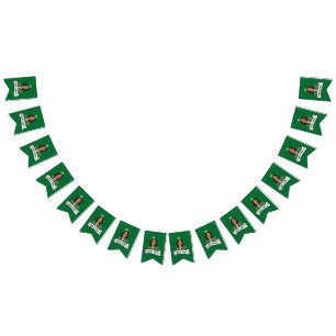 Banderines Kamala Harris St. Patrick's Day