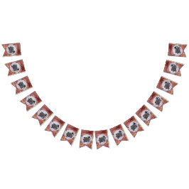 Banderines La tortuga soñando con el arte aborigen