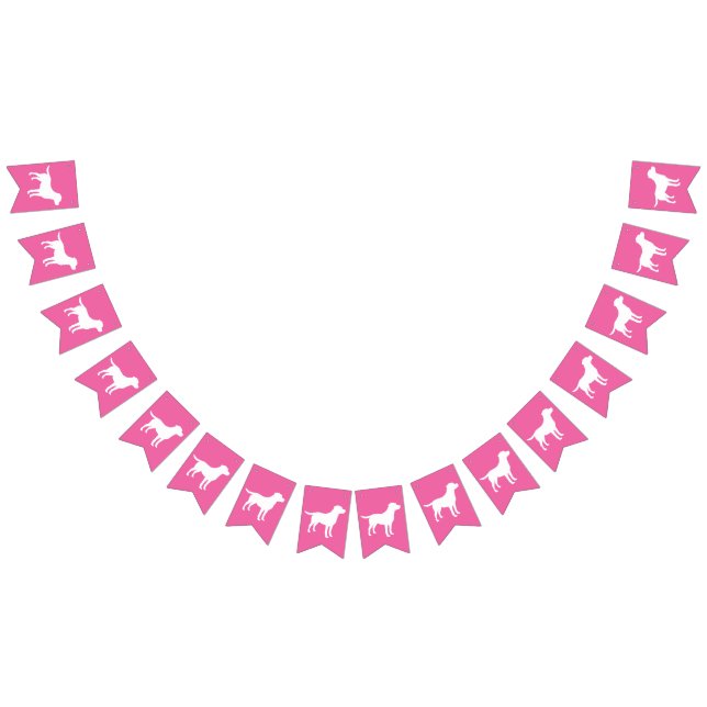 Banderines Labrador Dog Baby Shower (Todo)
