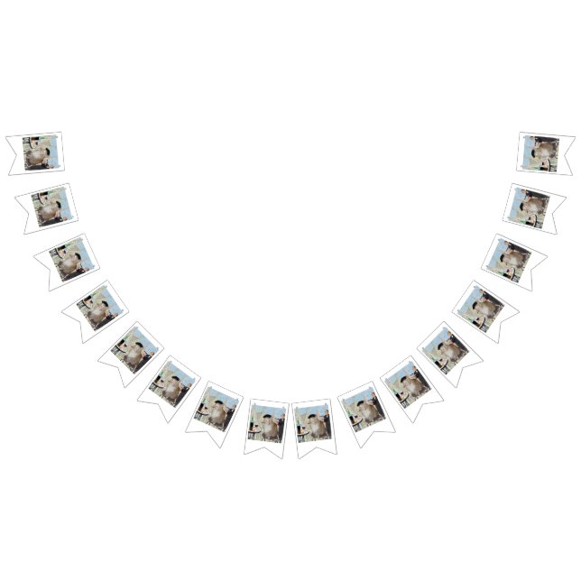 Banderines Le Cat du Cafe (Todo)