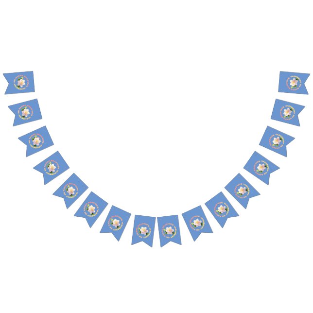 Banderines Lord Krishna (Todo)