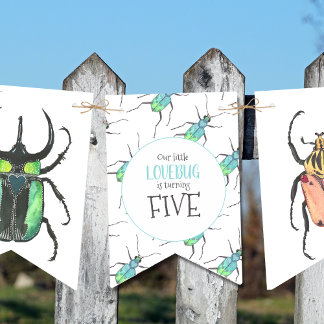 Banderines Love Bugs Birthday Party