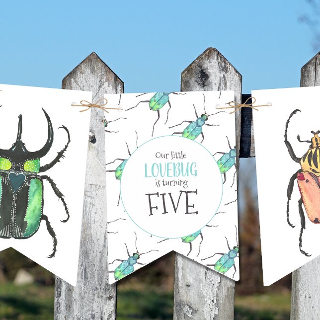 Banderines Love Bugs Birthday Party (Subido por el creador)