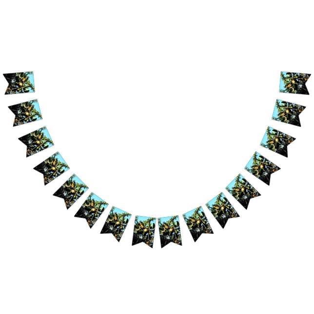 Banderines Manzanas (Todo)