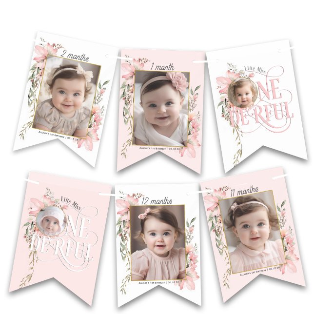 Banderines Maravillosa foto mensual de primer cumpleaños de l (Pink Little Miss Onederful, Girl 1st birthday Monthly photo banner)