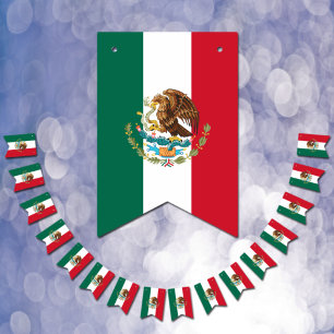 Banderines Mexico Flag & Party Mexican Banners / Weddings