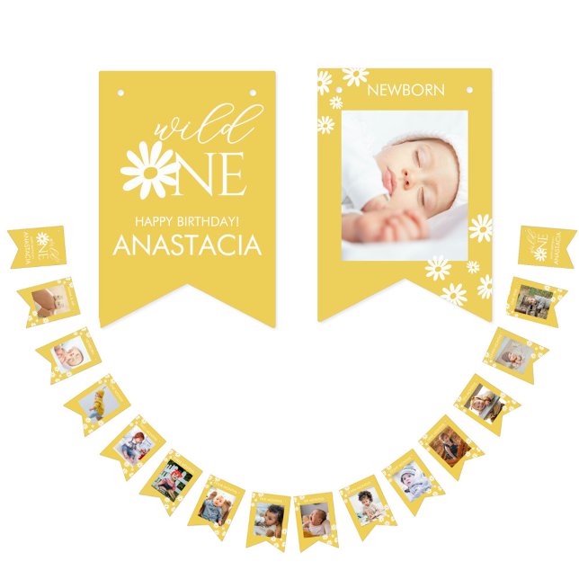 Banderines Milestone 1st Birthday Photo White Daisy (Subido por el creador)