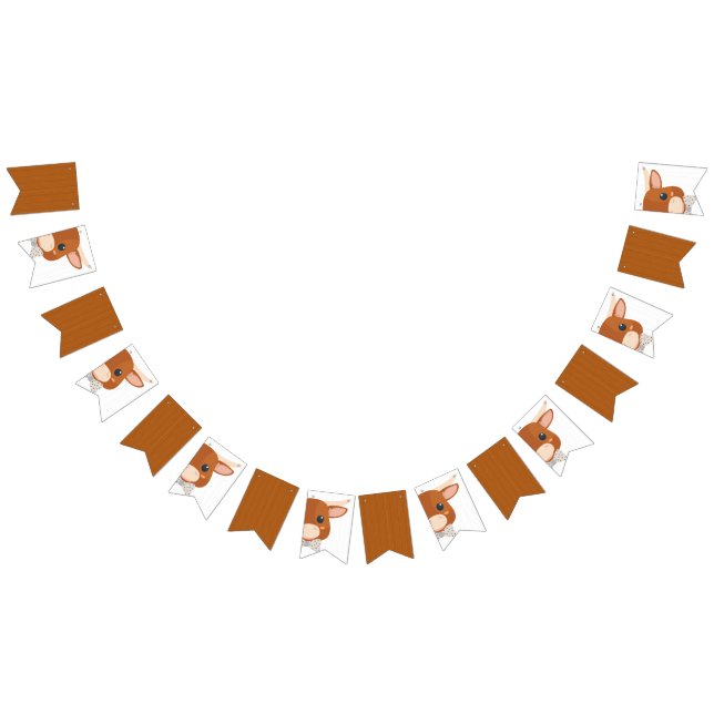 Banderines Niño Longhorn Naranja quemado Baby Shower (Todo)