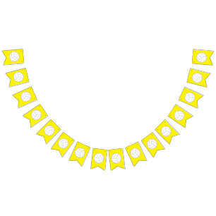 Banderines Niños de voleibol Fiestas Deportes de cumpleaños