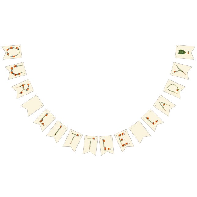 Banderines Nuestro pequeño Ladybug está volviendo uno - prime (Todo)