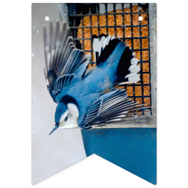 Banderines Nuthatch blanco en nieve - foto original (Primera bandera)