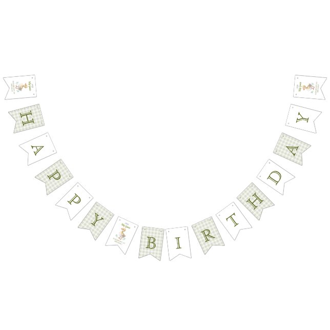 Banderines One Silly Goose Green Gingham Baby First Birthday (Todo)