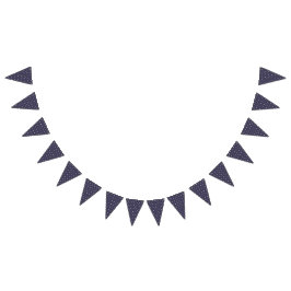 Banderines  Outer Space Starry Birthday for Kids Party