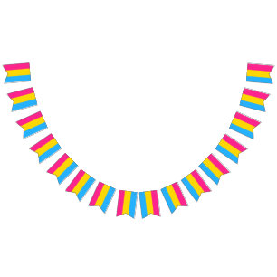 Banderines Pansexual Flag Bunting Banner Fiesta LGBT