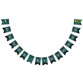 Banderines Partido del Cumpleaños del Oso y la Fox