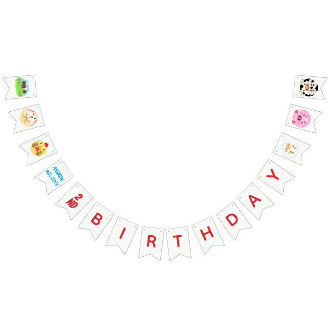 Banderines Party Animals Ready to Play Balls Rustic Farm  (Todo)