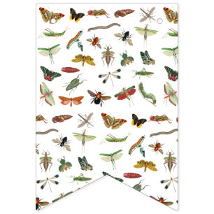 Banderines Patrón de Ilustracion de insectos de época colorid
