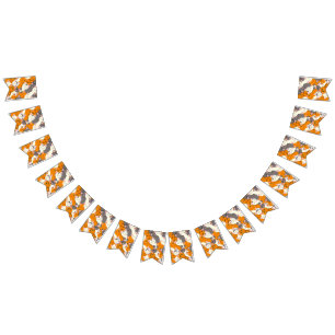 Banderines Patrón diagonal del gato negro jengibre