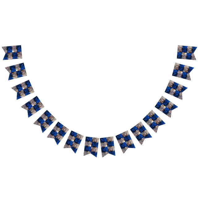 Banderines pecho de carnaval (Todo)