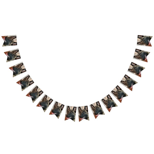 Banderines Perro de Malinois (Todo)