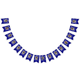 Banderines Personalizado 16 Fotos Título de Graduación, Diplo