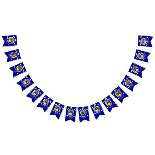 Banderines Personalizado 16 Fotos Título de Graduación, Diplo