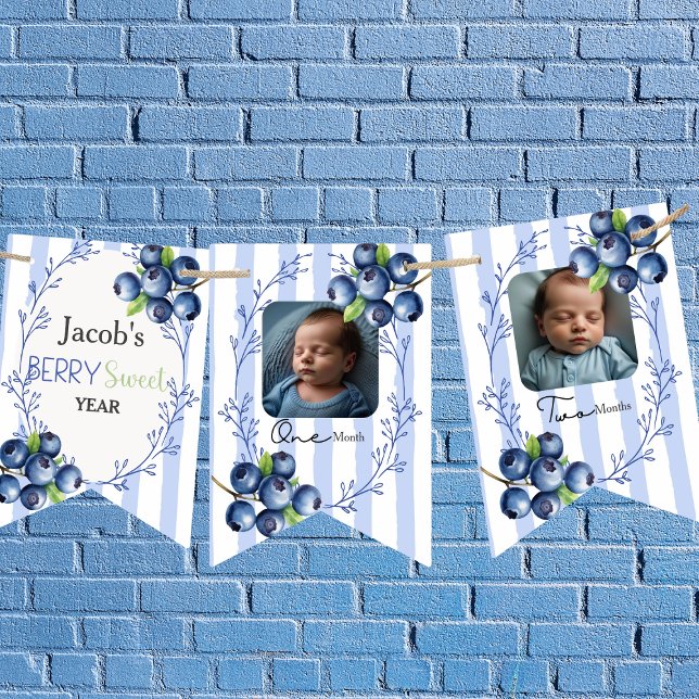 Banderines Personalizado Blueberry 1er cumpleaños 12 Foto (Berry Sweet Book Request boy Enclosure Card)