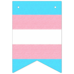 Banderines Personalizado del orgullo del transexual