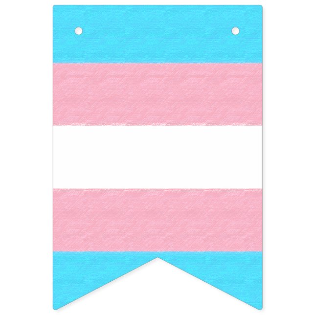 Banderines Personalizado del orgullo del transexual (Primera bandera)