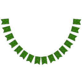 Banderines Pine Forest