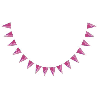 Banderines Pink JanaiCreates Color Collection Party Banner