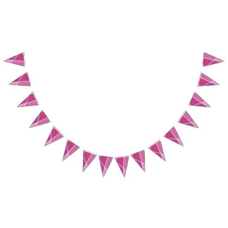 Banderines Pink JanaiCreates Color Collection Party Banner