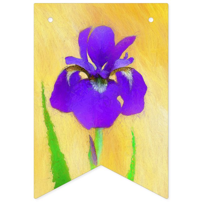 Banderines Pintado de iris morado - Perro original curado A (Primera bandera)