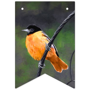 Banderines Pintura Oriole - Arte original de aves