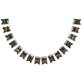 Banderines Publicar Fiesta temática apocalíptica