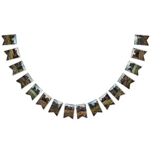 Banderines Publicar Fiesta temática apocalíptica