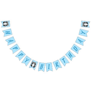 Banderines Raccoon Birthday Party Blue