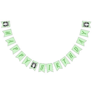 Banderines Raccoon Birthday Party Green