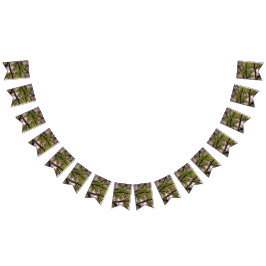 Banderines Ramas gruesas