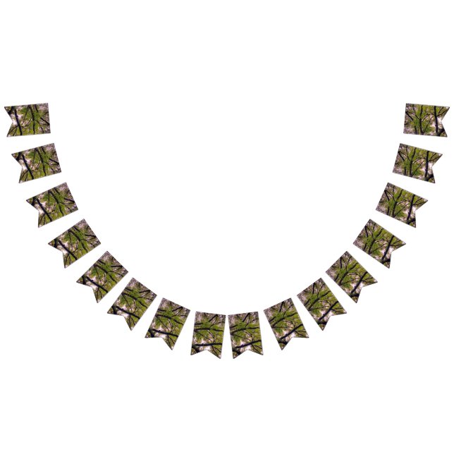 Banderines Ramas gruesas (Todo)