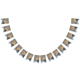 Banderines rebelión arco iris