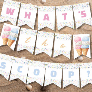 Banderines Revelación de género de helado Whats The Scoop