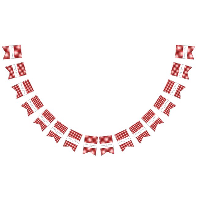 Banderines Rojo y blanco Gingham Pattern Barbeque Boda (Todo)