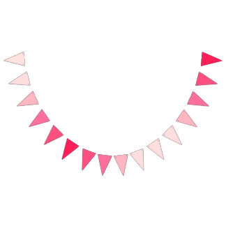 Banderines Romántica Rosa Tierna Gradación Delicada