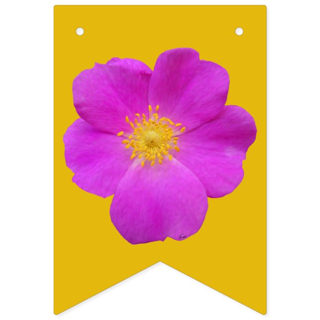 Banderines Rosa salvaje 2 (Primera bandera)