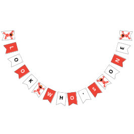 Banderines Sesame Street Elmo | Cumpleaños de Crayon