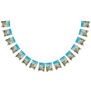 Banderines She's Cosmic